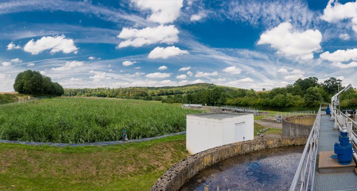 EKO-PLANT Klärschlammvererdung - ökotechnische Klärschlammentwässerung