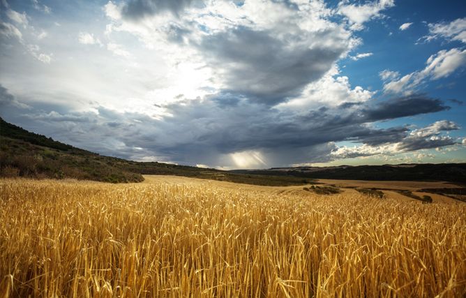 Düngung ohne Sperrfristen mit EKO-Terra